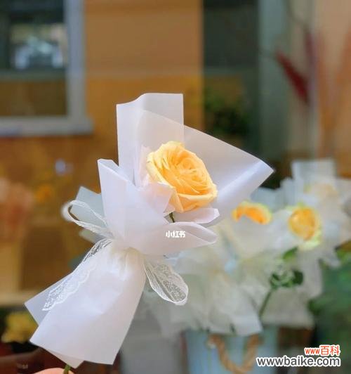 揭示香槟色玫瑰的浪漫之美 香槟色玫瑰花的意义与象征