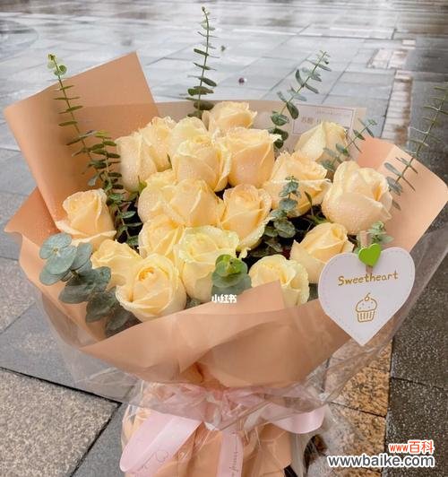 探寻香槟色玫瑰朵数所代表的深意 香槟色玫瑰朵数的意义