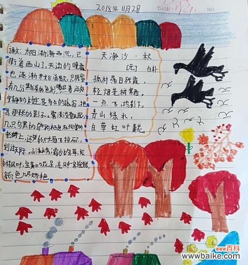 天边的彩虹花语是什么?彩虹花代表了哪些美好寓意?