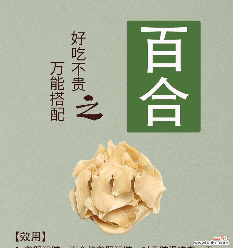 白百合的花语有哪些深层含义？