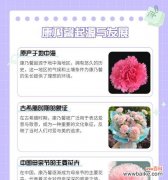 对男人表白的花语是什么？哪种花适合向男性表达爱意？