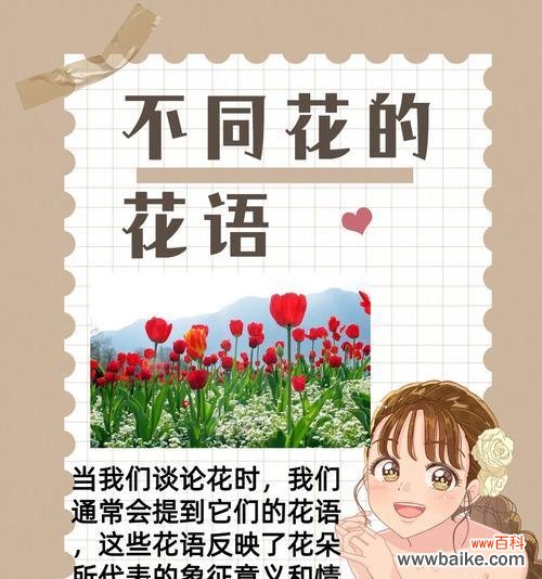 “3个1”组合的花语代表什么?