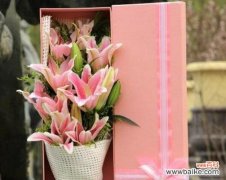 粉色表白花语传递了什么信息？它的含义是什么？