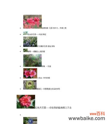 表达孤寂的花语有哪些简短句子？