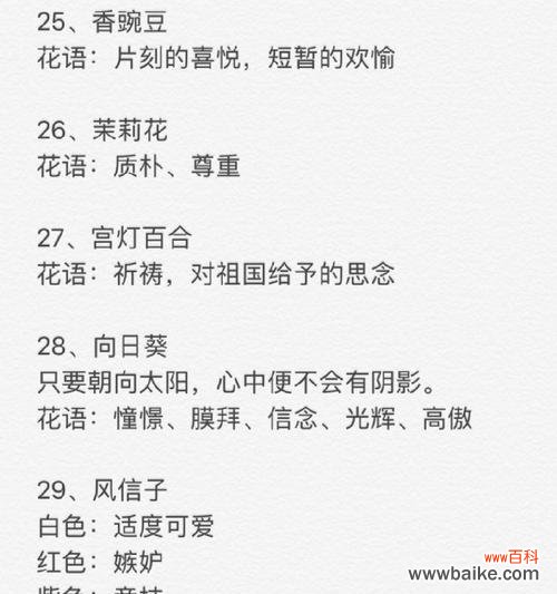 花语轻阅读的口令是什么？如何获取？