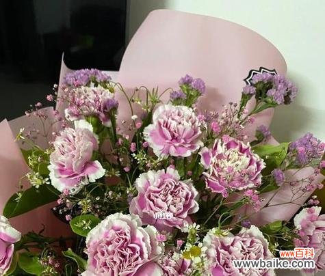 送生产的妈妈的花语有何特殊含义？选择什么样的花束最合适？