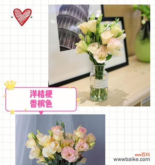 花语神奇的力量和香槟洋桔梗的浪漫韵味 香槟洋桔梗花语搭配之美——用花语传递深情