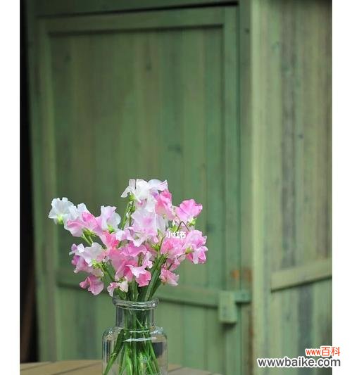 传承美食文化,传递友谊之心 以香碗豆花寄托情谊