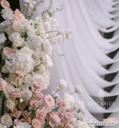 暗示救赎的花语是什么意思？康乐果的花语又是什么？