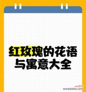 表白女生时哪种花语最合适？