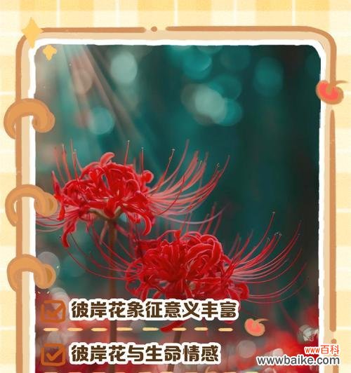 哪种花的花语是？花语通常表达什么情感？