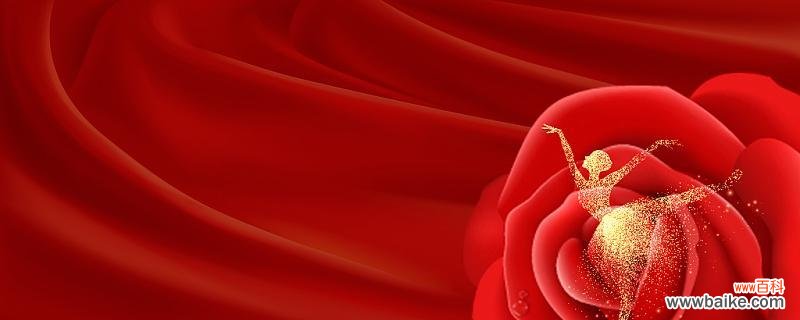 52朵芭蕾玫瑰花的寓意是什么？