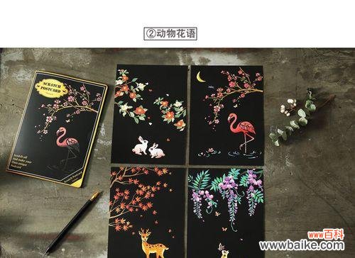 夜景花语有何寓意？