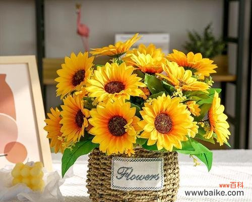 探索向日葵花的隐喻与生命力的奥秘，借鉴其品质来获得灵感 向日葵花的象征意义及其生命力的启示