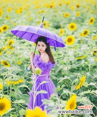 希望与积极向上的力量 向日葵的寓意与启示