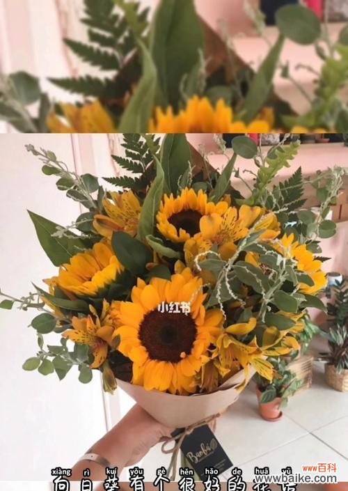 阳光与希望的化身，向日葵的秘密 向日葵的花语及其象征意义