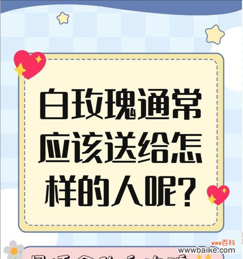 漂白白玫瑰的寓意是什么?