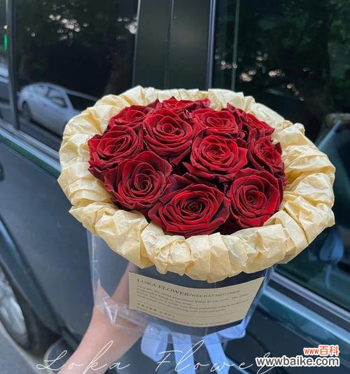 19朵酒红色玫瑰花语是什么？酒红色玫瑰的特别含义是什么？
