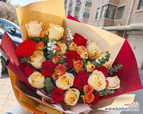 19朵酒红色玫瑰花语是什么？酒红色玫瑰的特别含义是什么？