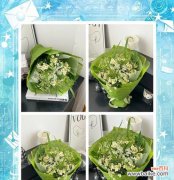 十月挚爱的花语有哪些？