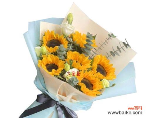 辉煌花语具体代表了什么?