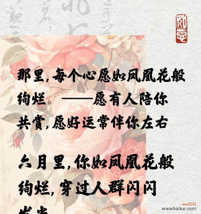 辉煌花语具体代表了什么?