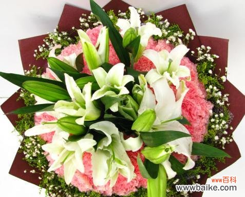 以象征友谊的花为主题,探寻朋友间的真挚情感 友谊之花