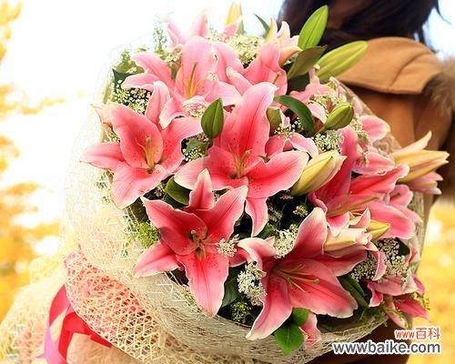 探索粉色百合所传递的深刻情感和美好祝愿 粉色百合的花语——爱与祝福