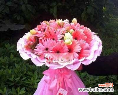 揭秘扶郎花的花语和寓意 粉色扶郎花