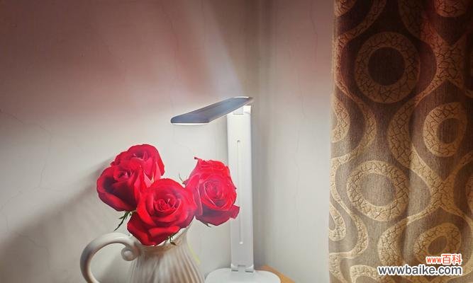 九月玫瑰通常用来表达什么情感?