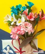 九月玫瑰通常用来表达什么情感？