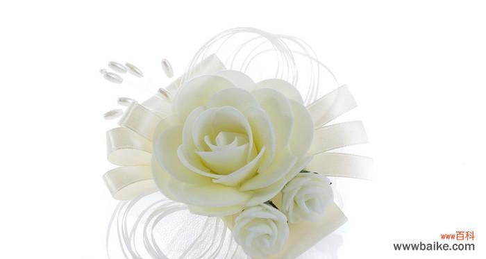 白玫瑰，纯洁与无暇的象征 一朵白玫瑰的象征意义