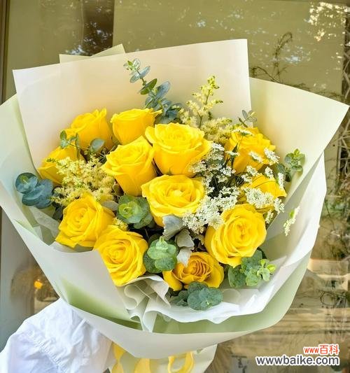 黄色玫瑰的花语是什么？代表了怎样的情感？