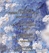 八月24日生日花语是什么？这一天出生的人的花语代表什么？