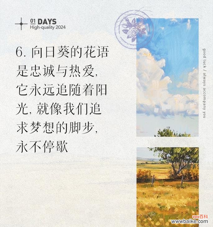 低调且执着是什么花语?这个花语有何深意?