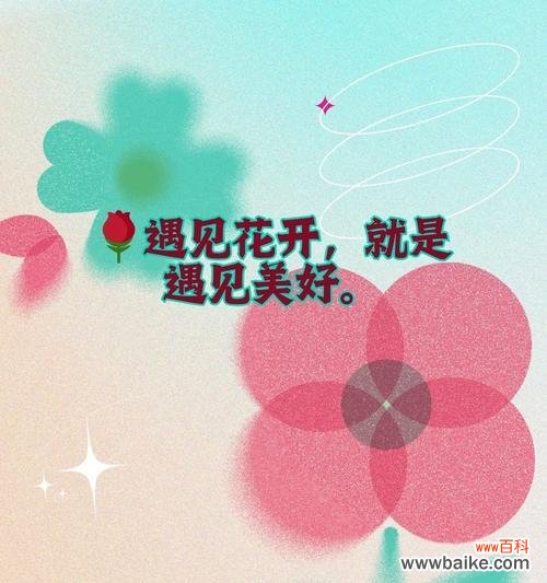 什么文案搭配花语既好听又好看?如何选择合适的文案?