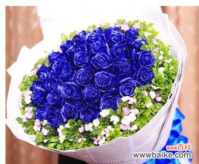 追寻与希望，勇气与神秘的化身 一朵蓝玫瑰的象征意义