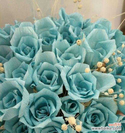 追寻与希望，勇气与神秘的化身 一朵蓝玫瑰的象征意义