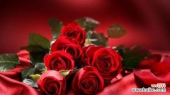 探寻红玫瑰背后的深层含义 红玫瑰的象征意义