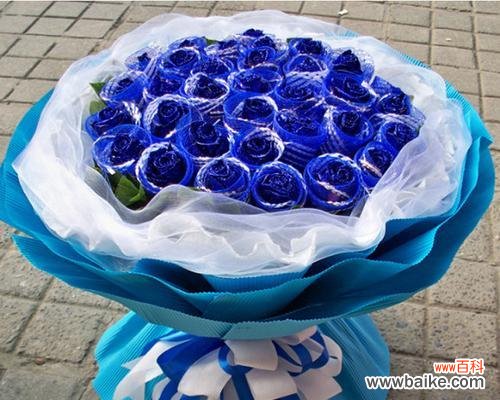 探索一朵蓝色妖姬的内涵及其象征意义 蓝色妖姬的隐喻与象征