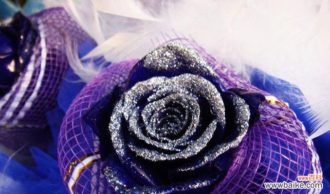 探索一朵蓝色妖姬的内涵及其象征意义 蓝色妖姬的隐喻与象征