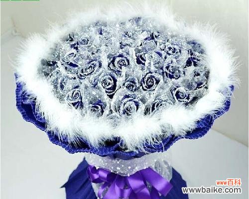 寓意深远的蓝玫瑰，探寻其隐藏的秘密 一朵蓝玫瑰的象征意义