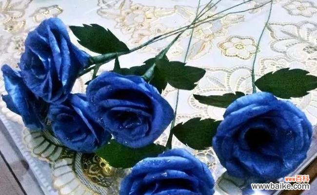 寓意深远的蓝玫瑰，探寻其隐藏的秘密 一朵蓝玫瑰的象征意义
