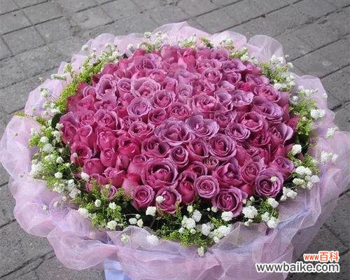 解读紫玫瑰的神秘美丽 紫玫瑰的象征意义