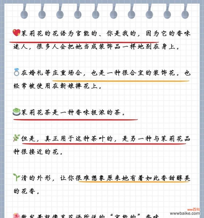 春日花香的花语是什么？春日花香有何寓意？