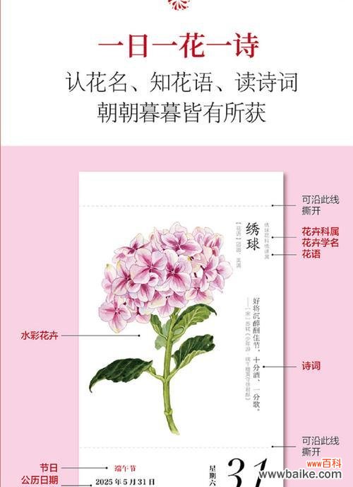 日历上的花语是如何确定的？