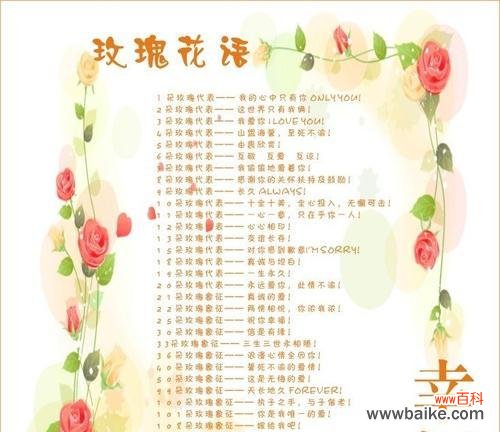 19朵玫瑰花代表什么?它的花语是什么?