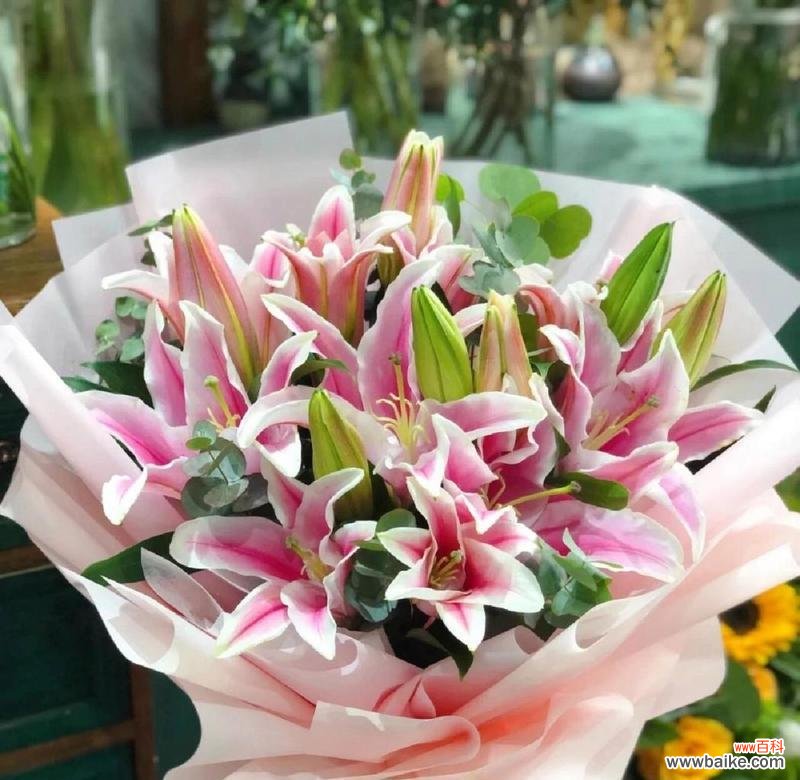 神仙百合的花语有哪些？