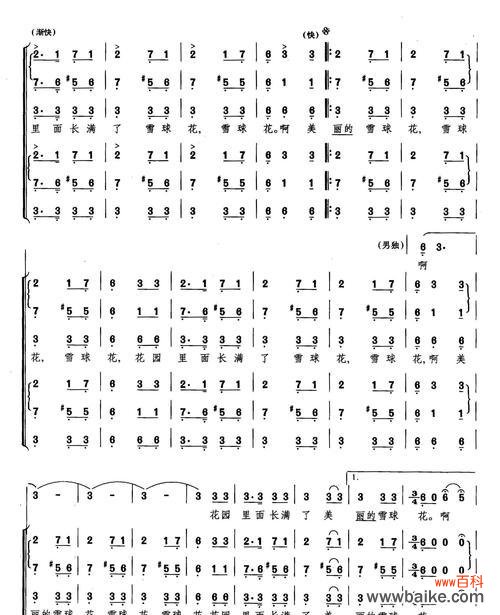 探寻雪球花花语的历史渊源与文化内涵 雪球花花语的意义与传承
