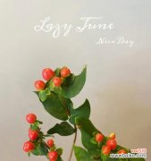 红豆花开寓意爱情与希望 红豆花语浪漫之美